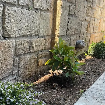 Apartament Aurora *